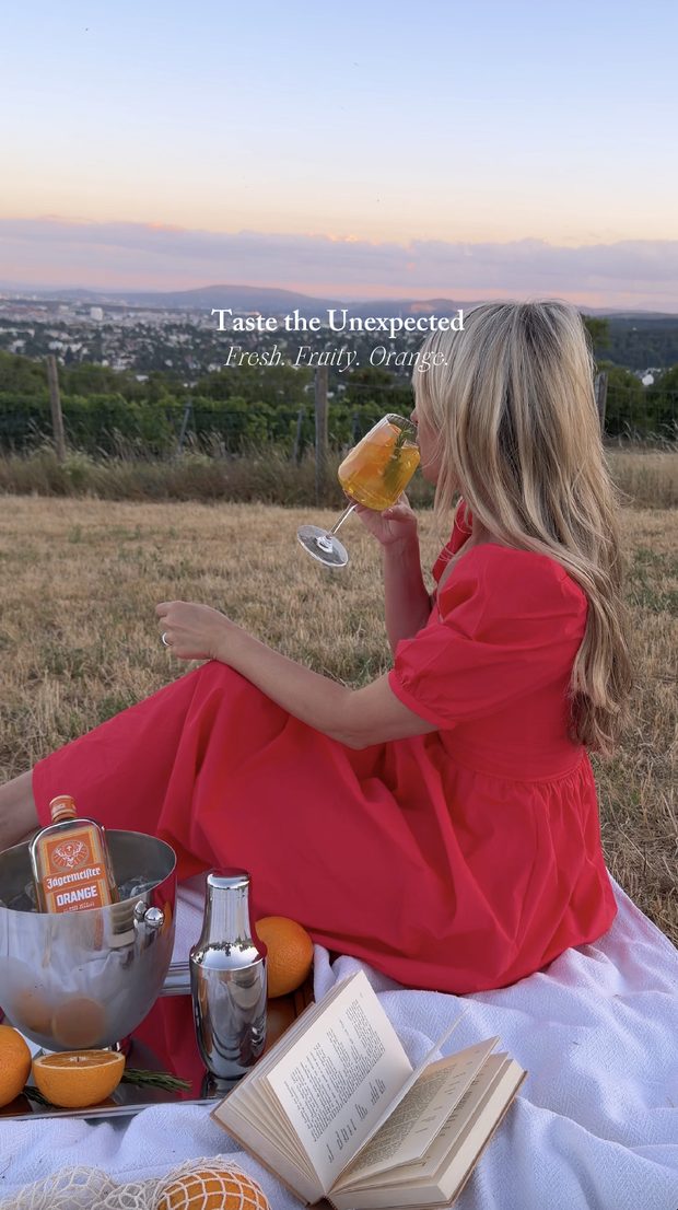Jägermeister Orange Kampagne mit Natalie (@natalieinvienna) — Sommerpicknick in Wien