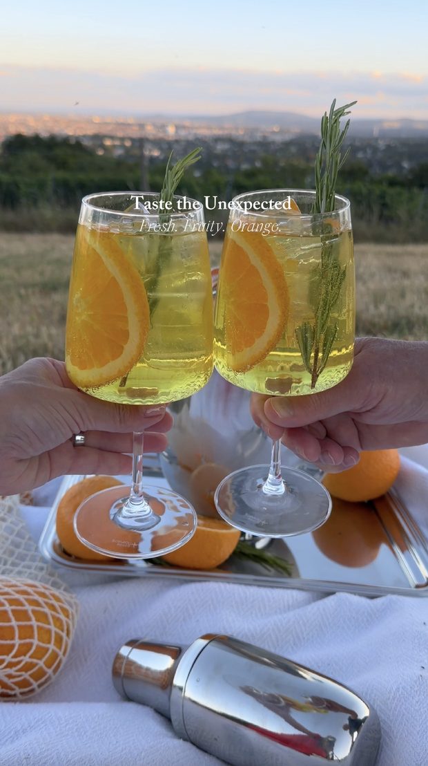 Jägermeister Orange Drinks beim Sommerpicknick — Influencer Kampagne von Elijah Entertainment